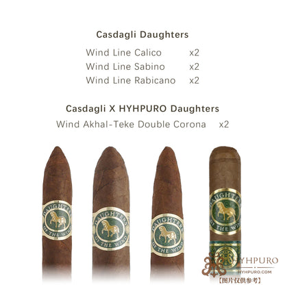 Casdagli 风之女 精选样包 8s