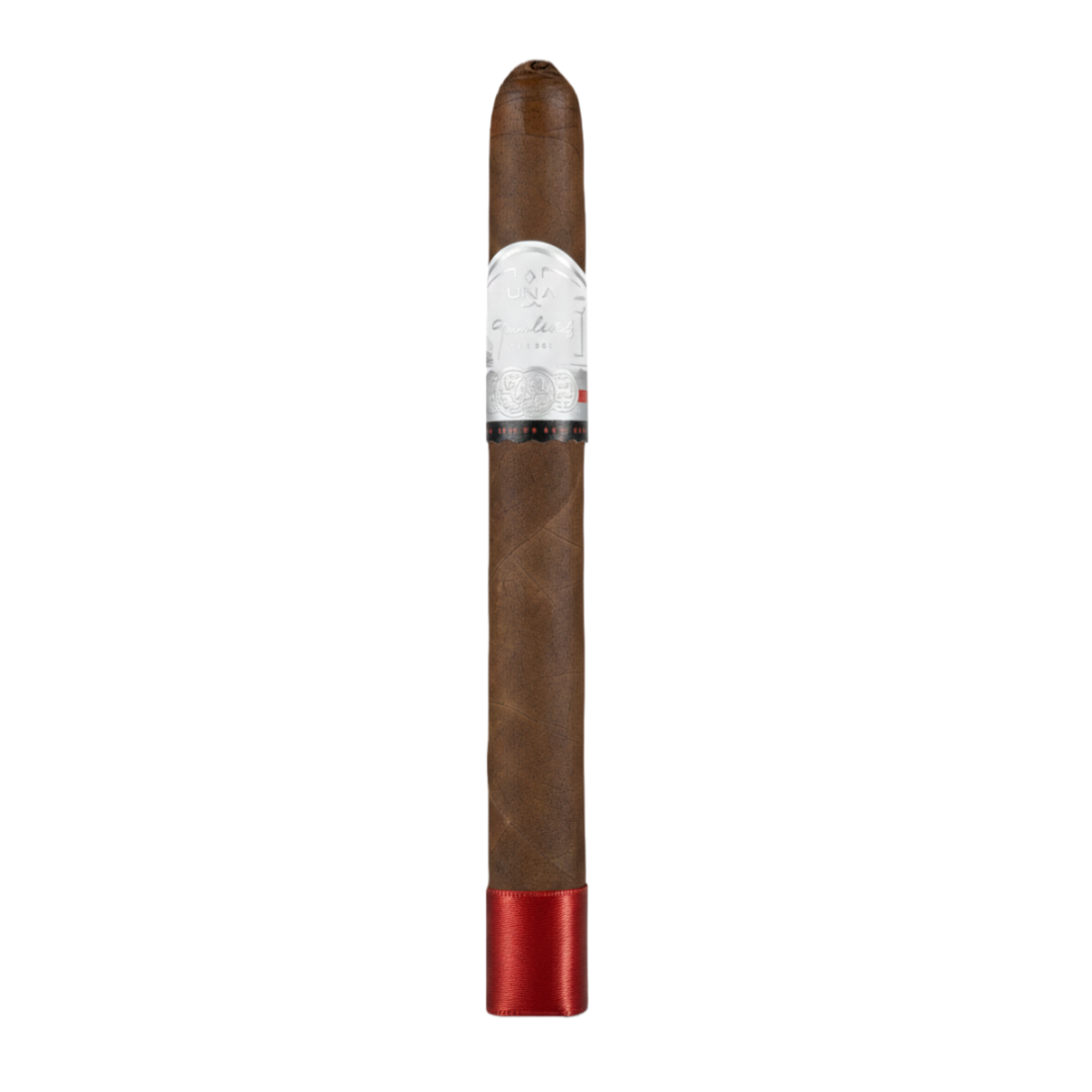 La Aurora 2024 Dragon Year Limited Lancero 15s 狮子王 2024中国特别限量 长矛 15支/盒